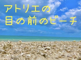 ショップ画像