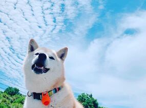 ショップ画像