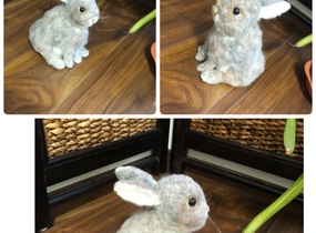 ショップ画像