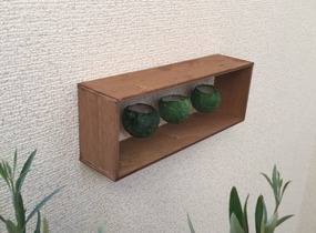 ショップ画像