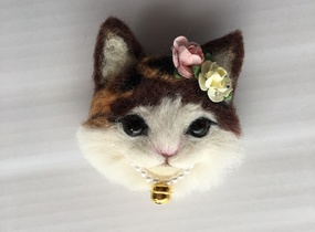 ショップ画像
