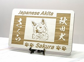 ショップ画像