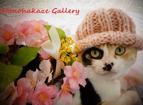 ショップ画像
