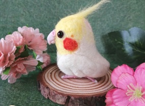 ショップ画像