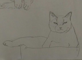 ショップ画像