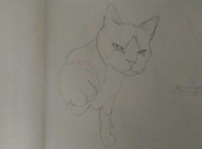 ショップ画像