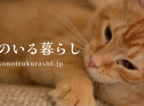 ショップ画像