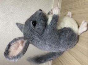 ショップ画像