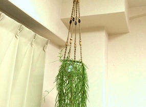 ショップ画像