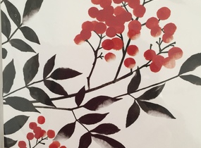 ショップ画像