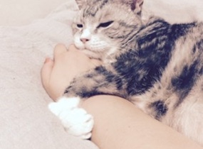 ショップ画像