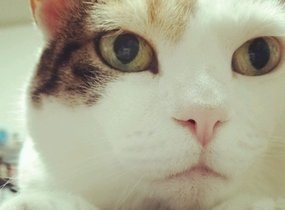 ショップ画像