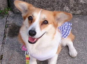 ショップ画像