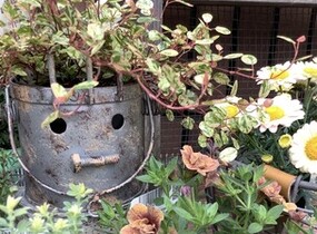 ショップ画像