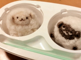 ショップ画像