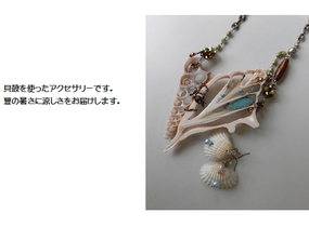 ショップ画像