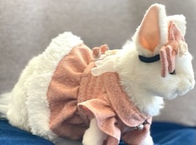 ショップ画像