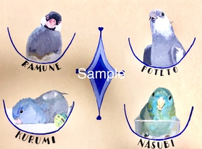 ショップ画像