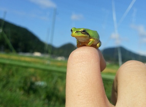 ショップ画像