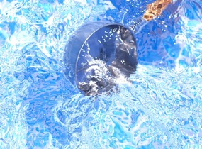 ショップ画像