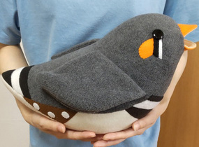 ショップ画像
