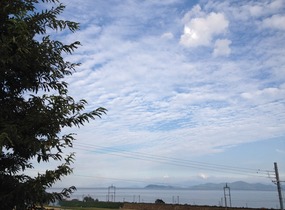 ショップ画像
