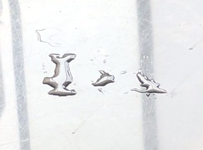 ショップ画像