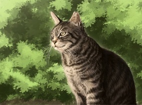 ショップ画像
