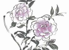 ショップ画像