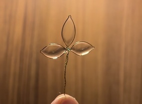 ショップ画像