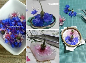 ショップ画像
