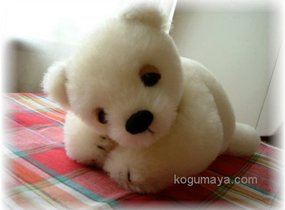 ショップ画像
