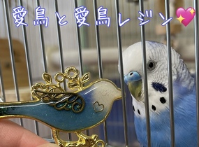 ショップ画像