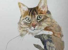 ショップ画像
