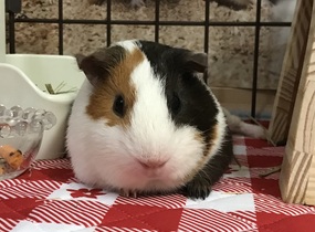 ショップ画像