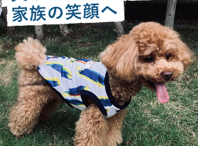 ショップ画像