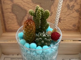 ショップ画像