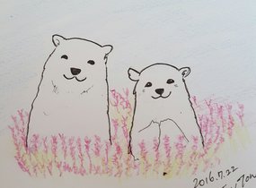ショップ画像