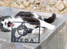 ショップ画像