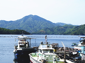 ショップ画像