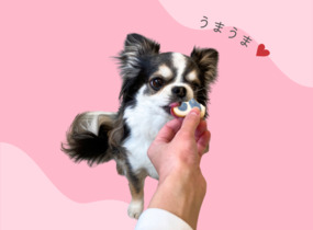 ショップ画像