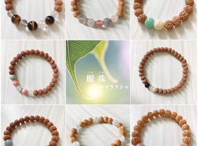 ショップ画像