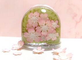 ショップ画像
