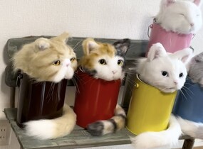 ショップ画像