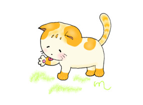 ショップ画像