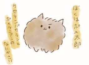 ショップ画像