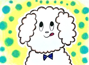 ショップ画像
