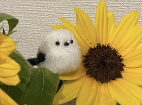 ショップ画像