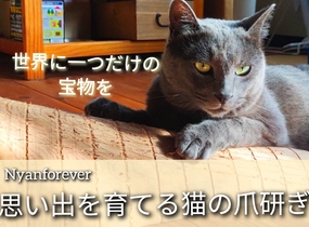 ショップ画像