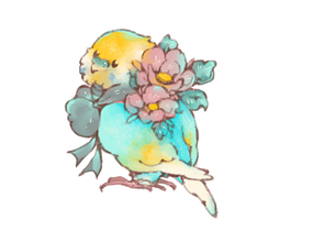 ショップ画像